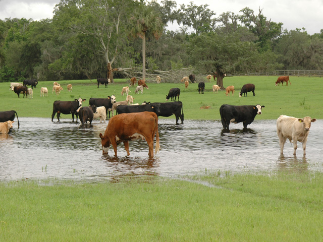 Farm groups argue the waters of the U.S. rule will allow EPA and the Corps to demand farmers apply for permits to conduct basic farming practices because the land could have vernal pools or ditches that fill during heavy rains. (DTN/The Progressive Farmer file photo)